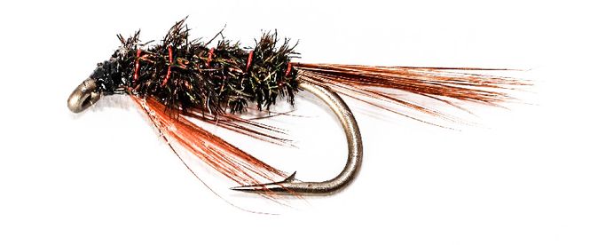 Hovedbilde Diawl Bach (tangloppe)