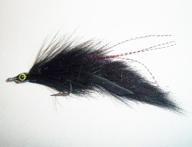 Hovedbilde Barry's gjeddeflue - sort/rød