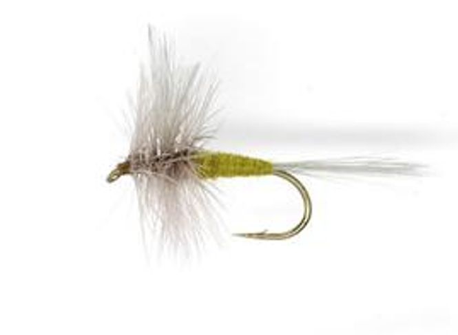 Hovedbilde Blue Winged Olive