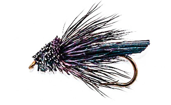 Hovedbilde Black Caddis