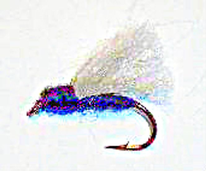 Hovedbilde Rakelhanen - sort