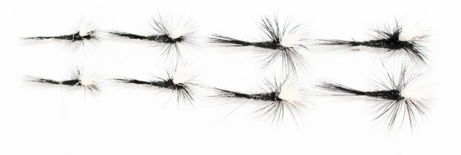 Hovedbilde Black Gnat fallskjerm multi pakke 