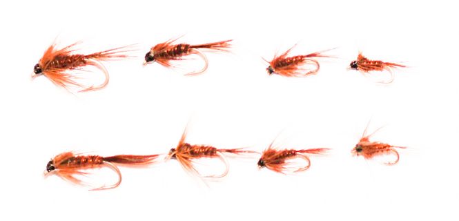 Hovedbilde Pheasant Tail nymfe multi pakke (kr. 4,12 pr. stk.) 