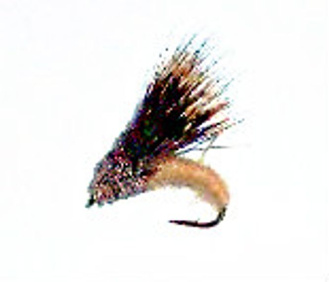 Hovedbilde Streaking Caddis