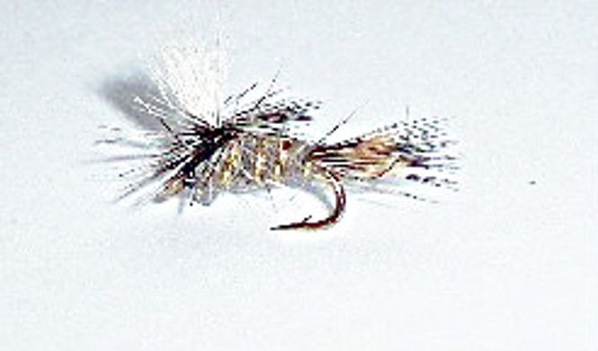 Hovedbilde Hare's Ear fallskjerm