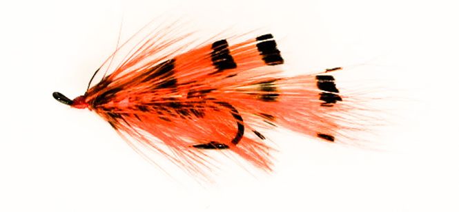 Hovedbilde General Practioner enkeltkrok