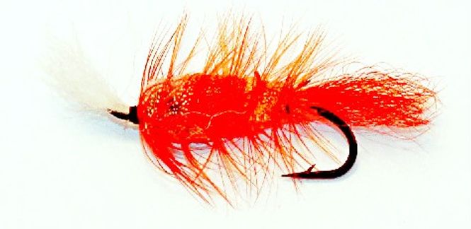 Hovedbilde Bomber oransje lakseflue