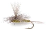 Blue Winged Olive (fallskjerm) 12 stk. samme str.